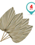 Dried Palm LeavesPalm LeavesPalm Leaves Decor  Palm Leaves Party Decorations 4 Pack