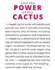 True Nopal Cactus Water 338 Fluid Ounce Pack of 12