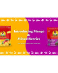 SunMaid Dried Mangos  15 oz Resealable Bag  Dried Mango Slices  Dried Fruit Snack for Lunches Snacks and Natural Sweeteners pack of 1