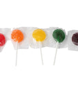 Lollipops  3 Pounds  Classic Lollipops Individually Wrapped  Flat Lolipops for Kids  Summer Candy Suckers  Assorted Fruit Flavors  Birthday Party Goodie Bag Favors  Bulk Candy