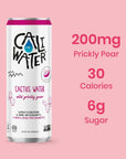 Caliwater Organic Wild Prickly Pear Nopal Cactus Water with Rare Antioxidants  Electrolytes for Hydration and Recovery PlantBased NonGMO NonCarbonated 12 fl oz Cans Pack of 12