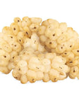 MAWA Dried White Mulberries 500g