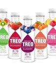 Treo Fruit & Birch Water Drink - Variety Pack - 16 fl oz, Pack of 12