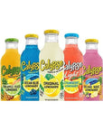 Calypso Lemonades Made -  8 Flavor Variety - 16 Fl Oz (Pack of 8)