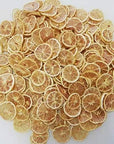 Dried Lemon Slice 180g 634oz Refreshing LemonTeaFresh Thinly Cut Nutritious Versatile Free of Impurities Suitable For Everyone Can Also Be Garnished With Cakes and Cocktails