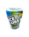 Ice Breakers Ice Cubes Combo Pack Pina Colada Watermelon Slushie Raspberry Sorbet Bubble Breeze  40 Pieces Each 4 Bottles Total