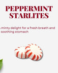 Sweetaholic Starlight Peppermint Candy 6 Pounds  Individually Wrapped Bulk Candy  Fresh Refereshing Delicous  Best for Parties