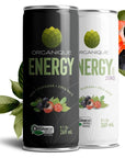 ORGANIQUE  Natural Brazilian Energy Drinks Sugar and Sodium Free Beverages Pre Workout Drinks Energy Drink Organic and 100 Natural Acai Yerba Mate  Guarana  91 Fl Oz  269ml12 Units