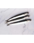 Mr Moris  Anchovy Fillets from Cantabrian Sea in Olive Oil  Handmade Anchovies fillets  Kosher  MSC certified for sustainable fishing  Premium box  50g 176 Oz