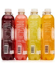 Polar Beverages Sparkling Frost Variety Pack 17 Fluid Ounce Pack of 12