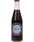 Boylan Soda Specialty Soda Variety 5 Pack Grape Soda Black Cherry Ginger Ale Orange Soda Cane Cola Assorted Soda Variety Pack by Snackivore