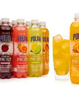 Polar Beverages Sparkling Frost Variety Pack 17 Fluid Ounce Pack of 12