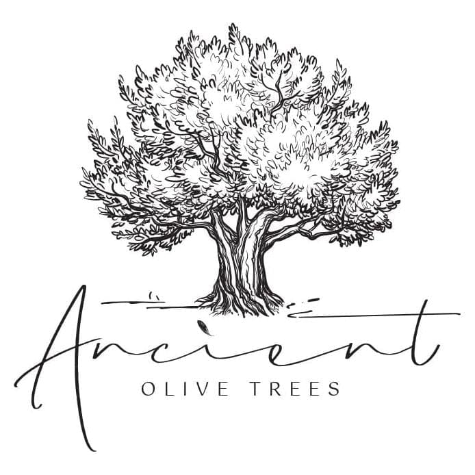 ANCIENT OLIVE TREES  Olive Juice for Dirty Martinis  Olive Brine Prefect for Martini Vermouth and Dirty Sue  126 FL OZ  1 CT