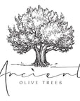 ANCIENT OLIVE TREES  Olive Juice for Dirty Martinis  Olive Brine Prefect for Martini Vermouth and Dirty Sue  126 FL OZ  1 CT