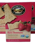 Bundle of 3 Natures Path Organic Unfrosted Berry Strawberry Toaster Pastries