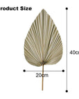 Dried Palm LeavesPalm LeavesPalm Leaves Decor  Palm Leaves Party Decorations 4 Pack