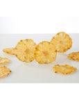 Premium Dried Pineapple 5 Oz142gDehydrated Pineapple Slices100 NaturalNo Sugar Added  No Additives