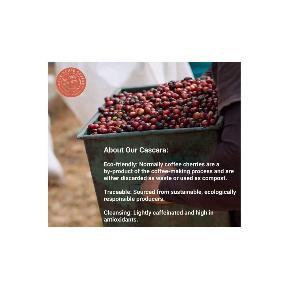 5lb Bulk Cascara Dried Coffee Cherry Tea Sustainably Sourced Costa Rica - Whlsome - Coffee