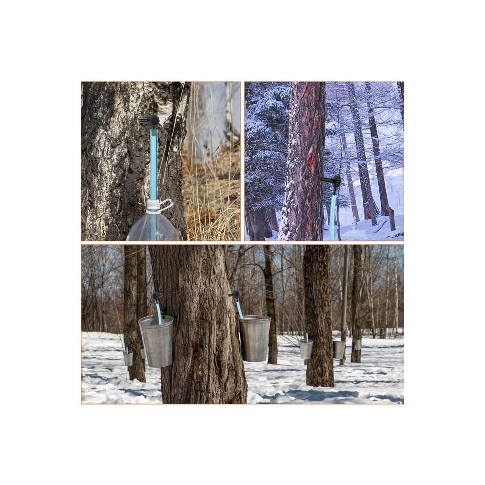 6 Set Maple Syrup Tree Tapping Kit Maple Sugaring Starter Kit 6 Tree Taps 6 2ft Maple Syrup Collecting Pipes Sap Tapping Kit Supplies for Maple Syrup Sap Collection - Whlsome - Maple Syrup