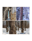 6 Set Maple Syrup Tree Tapping Kit Maple Sugaring Starter Kit 6 Tree Taps 6 2ft Maple Syrup Collecting Pipes Sap Tapping Kit Supplies for Maple Syrup Sap Collection - Whlsome - Maple Syrup