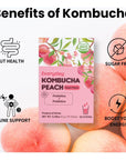 Everyday Kombucha Tea Powder 5g x 30 Sachets 150g519oz Probiotics Prebiotics Sugar Free Balck Tea Healthy Drink Peach Flavor Sparkling Refresh