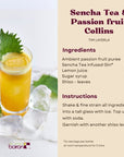 Les Vergers Boiron Passion Fruit Puree 100 Fruit All Natural No Added Sugar NonGMO No Preservatives No Added Flavors Vegan For Beverages  Cocktails 1 Liter 338 Fl Oz Pack of 1