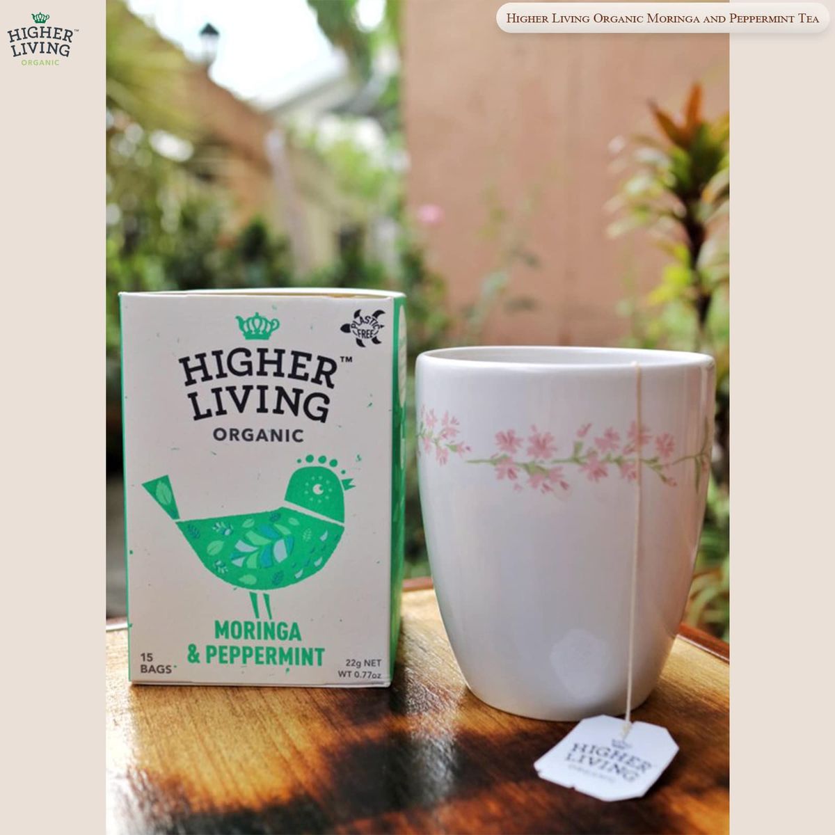 Higher Living Organic Moringa  Peppermint Tea  Premium Blend 22g 15 Teabags  Refreshing Flavor Organic Ingredients Digestive Support  CaffeineFree Herbal Tea