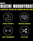 Animal Micronized Creatine – Delay Muscle Fatigue – 300g