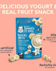 Gerber Snacks for Baby Variety Pack, Yogurt Melts, Puffs and Lil Crunchies (Set of 9)