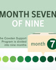 NutraMedix Cowden Support Program Month 7 - Bioavailable Herbal Detox Protocol Including Banderol, Burbur-Pinella, Parsley, Samento Cat's Claw Tincture, Serrapeptase, Magnesium & More (13 Piece Set)