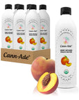 CannAde Organic Adaptogenic Water 6Pack Positively Peach