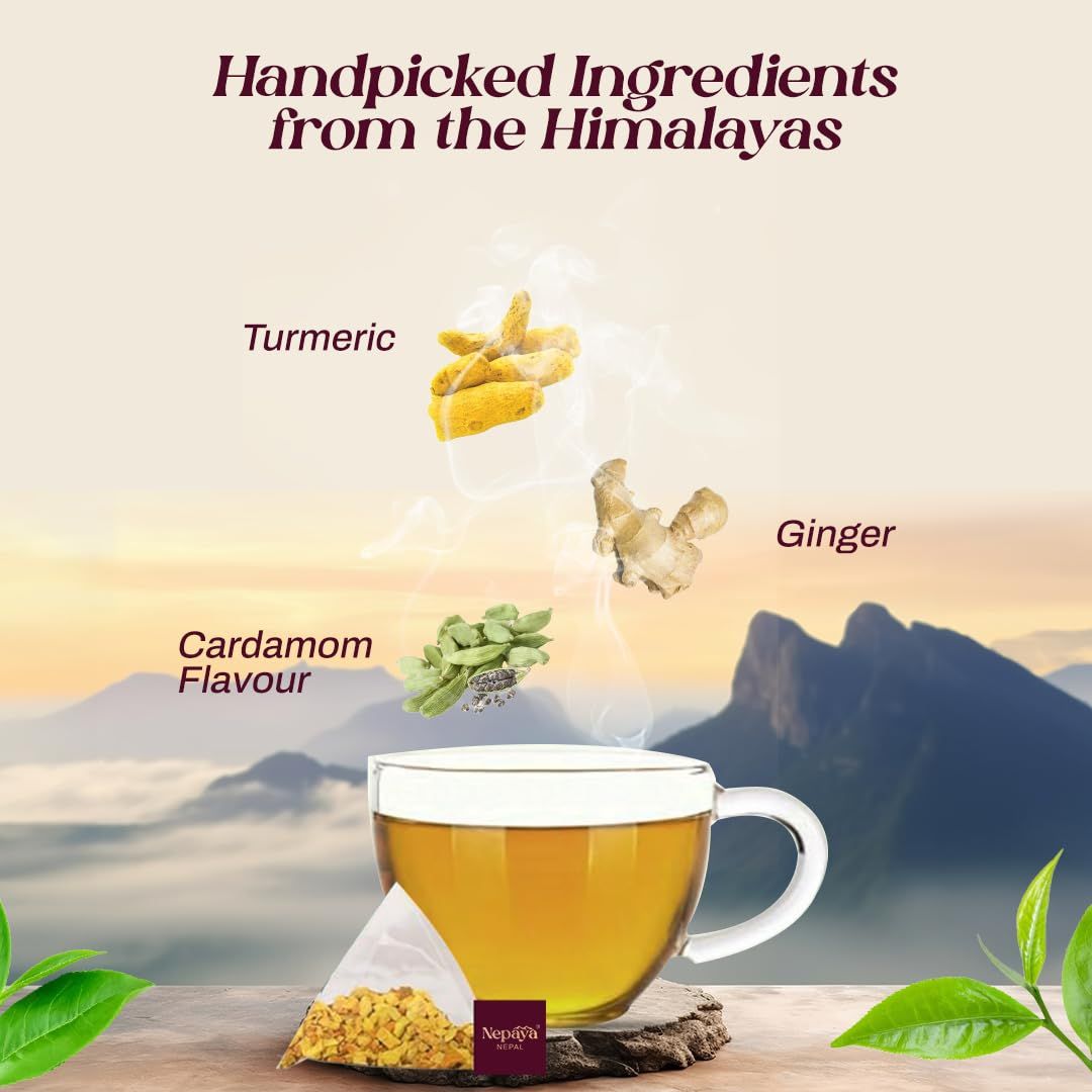 Organic Turmeric Ginger Herbal Tea 15 Count Pyramid Tea Bags from the Himalayas Caffeine Free Gluten Free USDA Organic warm and spicy Taste biodegradable Tea Bags