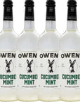 Owens Craft Mixers  Cucumber Mint 4 Pack 750ml  Handcrafted in the USA with Premium Ingredients  Vegan  GlutenFree Soda Mocktail and Cocktail Mixer