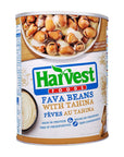 Harvest Canned Fava Beans With Tahini Ready To Eat Rich in Protein 400 gm  14 oz AHD E/E3 ('D7-JF)