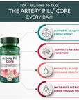 Purity Products Artery Pill Core from MK-7 Vitamin K2, Plant-Based S7 Nitric Oxide Booster, Vitamin D3, Organic Blueberries - Promotes Arterial Health & Cardiovascular Function - 30 Count