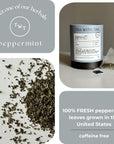 Tea with Tae  PEPPERMINT 16 Sachets  Fresh AllNatural USgrown Peppermint  Minty Menthol Soothing  Resealable Large Tube to preserve freshness