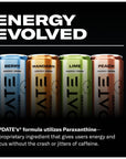 Drink Update Energy Drink with Paraxanthine  Jitter Free Crash Free No Overstimulation No Withdrawal  Caffeine and Sugar Free Variety 12 Pack