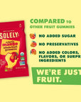 Solely Fruit Gummies Variety Pack of 4 Bundle - 1 of each flavor (Organic Mango, Mango and Orange, Mango and Guava, Mango and Passion Fruit) 13 oz total No Added Sugar Vegan Organic Whole Dried Fruit Snacks