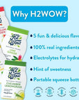 H2wOw Water Enhancer Drops ORGANIC  Natural Extracts of Real Fruit  a Hint of Organic Stevia  21oz bottles Variety 4 Pack