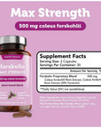 Vitamin Bounty Forskolin Max Strength - Forskolin Extract, Forskolin Supplement, Forskohlii Coleus Supplement, Coleus Forskohlii Extract, Plant Based, Non GMO - 60 Capsules