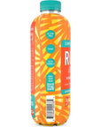 Roar Organic Electrolyte Infusions  USDA Organic  Mango Clementine  with Antioxidants B Vitamins LowCalorie LowSugar LowCarb Coconut Water Infused Beverage 18 Fl Oz Pack of 12