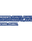 Planters Salted Peanuts  481 Ounce bags 2 Pack