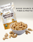 Lark Ellen Farm Whole Cashews Unsalted Raw Sprouted Nuts Certified USDA Organic GlutenFree Vegan Snacks 10 oz 3 pack