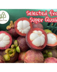 Premium Whole Freeze Dried Tropical Fruits100 fruits NATURAL 70G 25 oz nothing else added Mangosteen