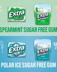 EXTRA Spearmint  Polar Ice Sugar Free Chewing Gum Bulk Assortment 15 Sticks  40 Pieces 2 Bottle Packs  12 Single Packs