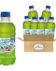 Hawaiian Punch Green Berry Rush 10Ounce Bottles  Pack of 6 60 oz in total