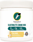 NativeFirst Electrolyte Drink Mix (42 Servings) - Gluten Free, Non-GMO (Pina Colada)