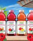 Langers Organic Cold Brew Hibiscus Tea Peach 20oz Pack Of 12 Peach 20 Fl Oz Pack of 12