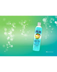 Polar Frost Arctic Twist Sparkling Water 17 oz Plastic Bottles  Pack of 24