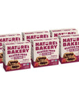 Nature’s Bakery Gluten Free Fig Bars, Raspberry, Real Fruit, Vegan, Non-GMO, Snack bar, 6 boxes with 6 twin packs (36 twin packs)